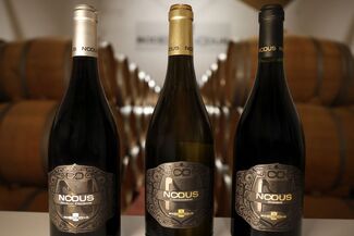 Vinos Nodus