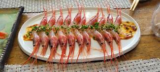 Sashimi de gamba canaria macerado en aceite de carbón y lima, con vinagreta de miso-calamar