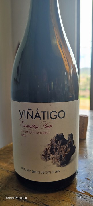 Viñatigo ensamblaje tinto DO Islas Canarias 2024