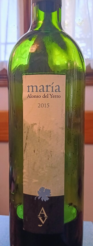 Maria Alonso del Yerro 2015