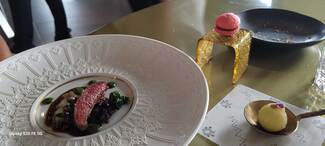 Pichón de Toulouse en salmis- acelga en texturas- macaron de paté de sus interiores al palo cortado.