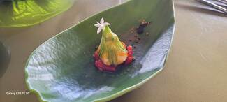 La Huerta : Flor de calabacin de la huerta del Ara-brandadad de bacalao_ oisto y vinagreta de miel de Casa Montalban de Ainsa