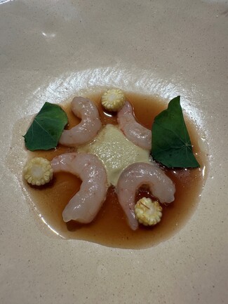 gamba