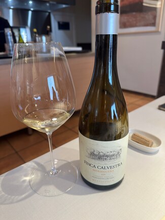 vino1