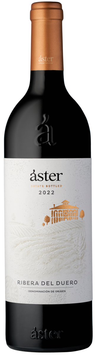 Áster 2022