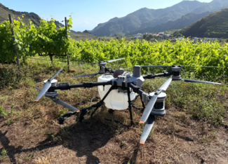 Inteligencia artificial y drones: la DOP Islas Canarias – Canary Wine participa en la viticultura del futuro