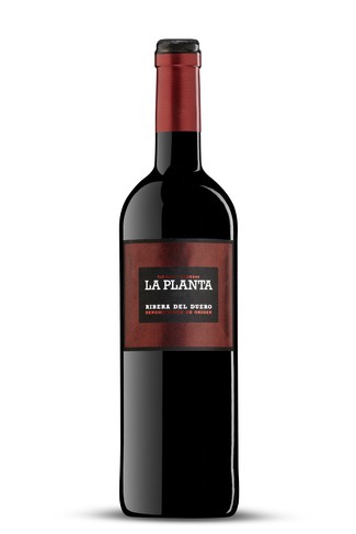 La Planta 2025
