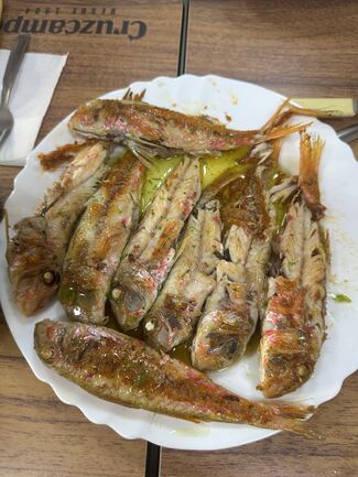 salmonetes