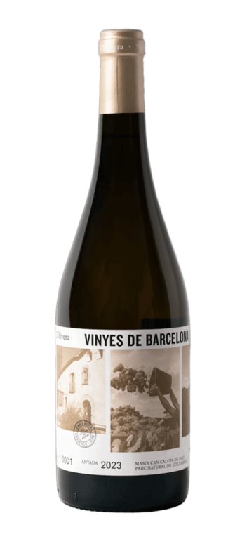 Vinyes de Barcelona 2024