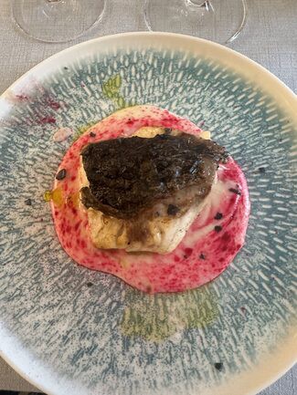 corvina