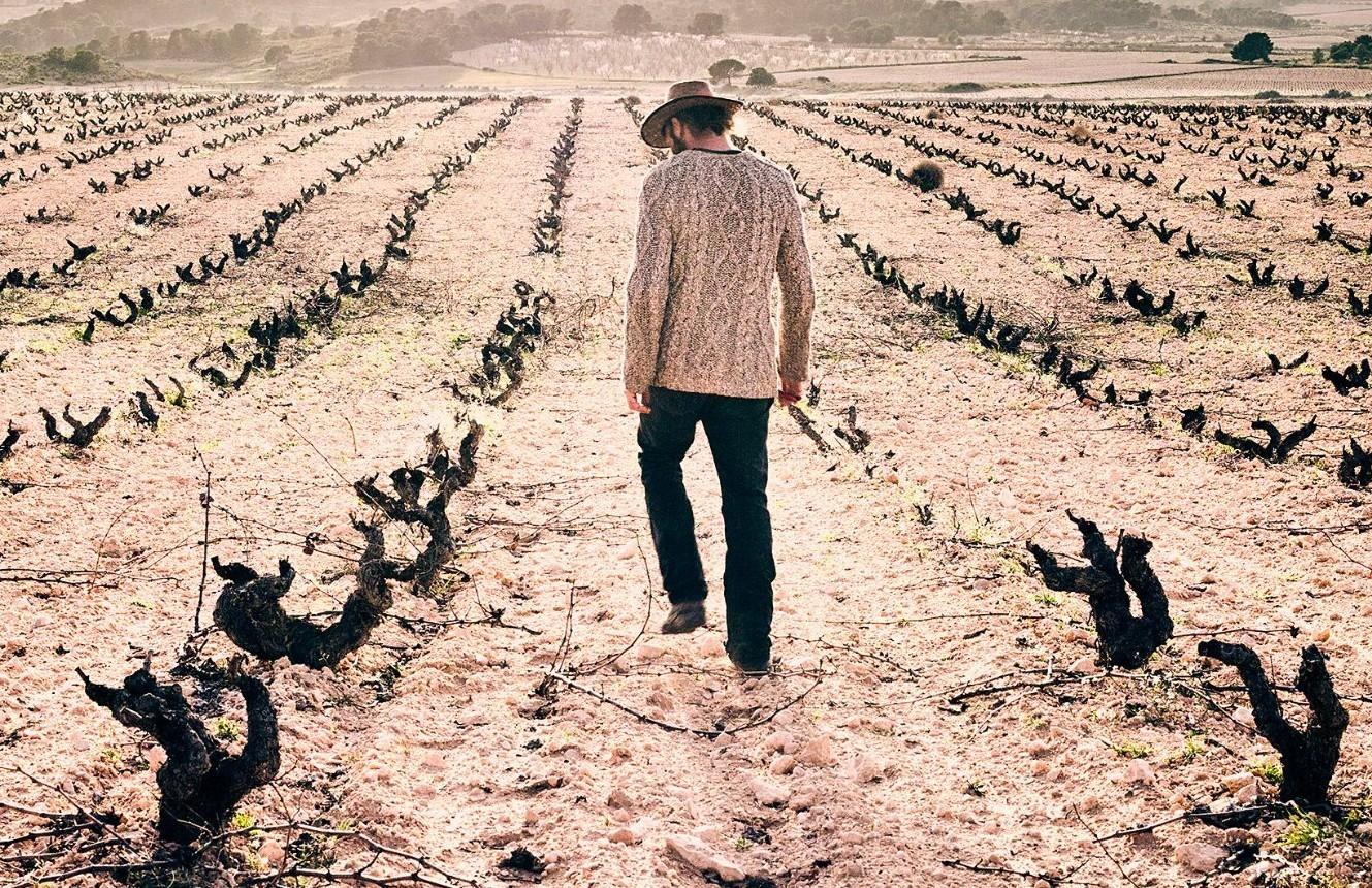 ¿Sobran viñedos en España? Arranque, reducción de producción y futuro del viñedo