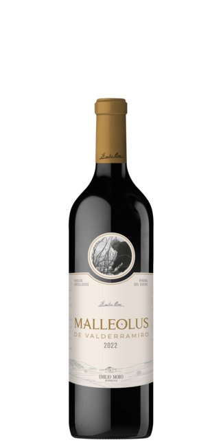 Malleolus de Valderramiro 2022