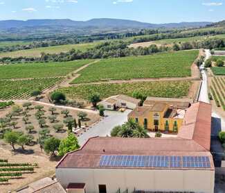 Celler Parató: 50 vendimias, una historia que sigue creciendo