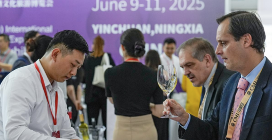 Verema: Vino, Restaurantes, Club de Vinos y Enoturismo