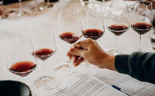 ¿Estamos elaborando vinos mejores o simplemente vinos más fáciles de beber?