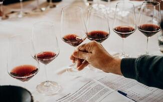 ¿Estamos elaborando vinos mejores o simplemente vinos más fáciles de beber?