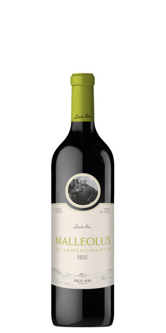 Malleolus de Sanchomartín 2022