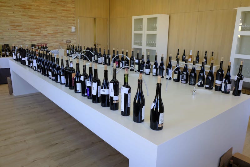El II Concurso Mundial de Cariñenas reunirá los mejores vinos de la uva nacida en Cariñena