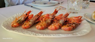 Menu- Gambas de Palamos a la plancha