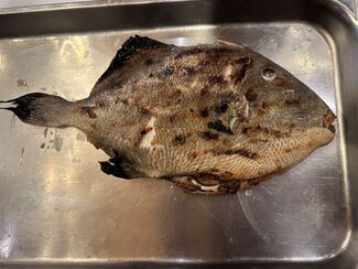 Asador Marino Tinta Negra