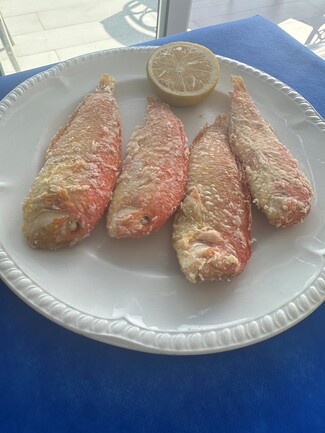 loritos