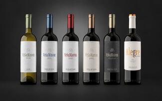Los vinos Viña Mayor