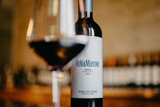 Viña Mayor